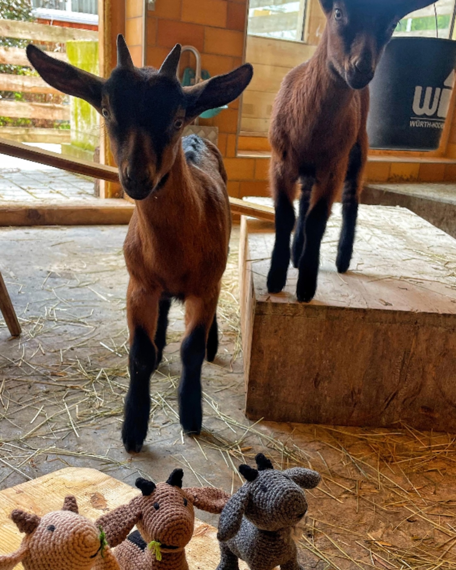 Unsere Tiere